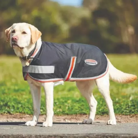 Therapy dog jackets new arrivals for sale