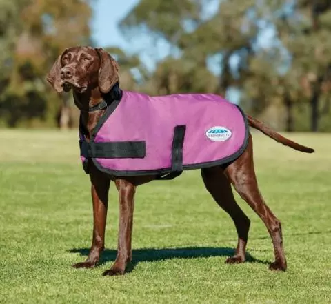 Waterproof dog jackets best sale australia