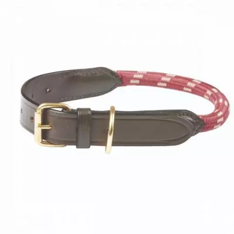 Equestrian leather dog on sale collars