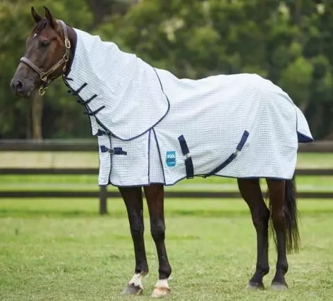 Cool coat horse new arrivals rugs