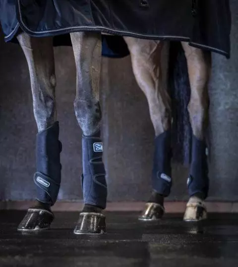 Horseback riding boots outlet target