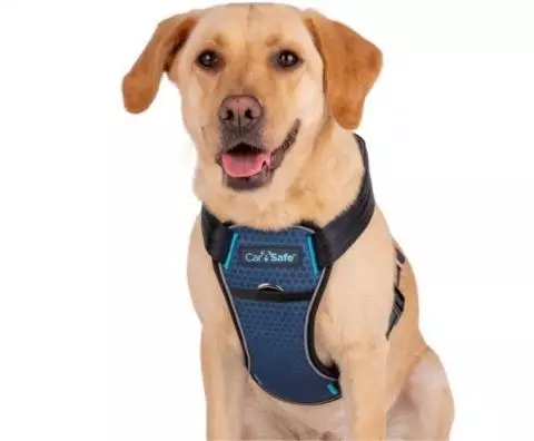 CarSafe Crash Tested Dog Harness Dog Collars Leads Discount