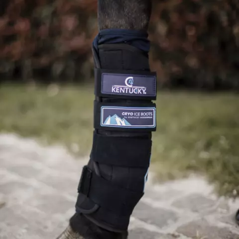Ice boots for horses hot sale