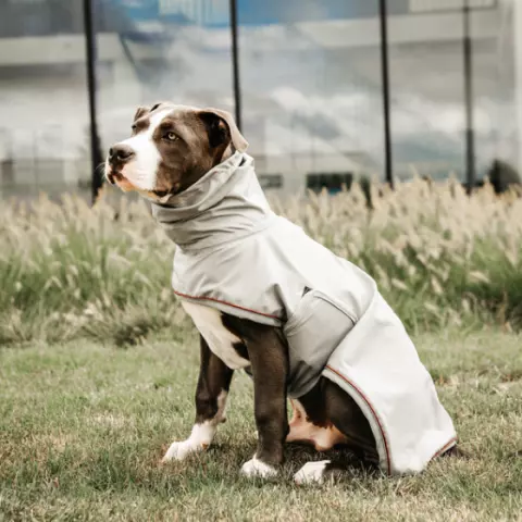 Dog rain gear shop