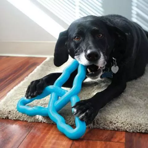 Discount dog sale toys