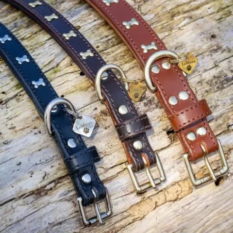 Chelsea dog outlet collar
