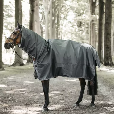 Horse rain on sale sheet