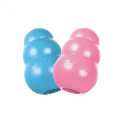 KONG Puppy Assorted Colours