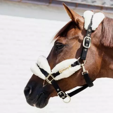Sheepskin headcollar top