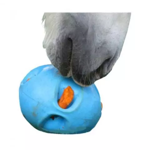 Carrot ball for horses new arrivals