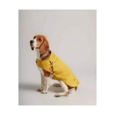 Joules Water Resistant Dog Coat Dog Rugs and Coats Discount