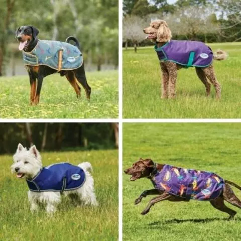 Discount dog clothes sale