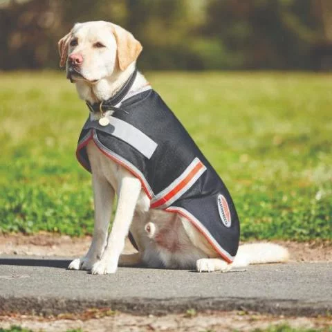 Weatherbeeta 1200D Therapy Tec Waterproof Dog Coat