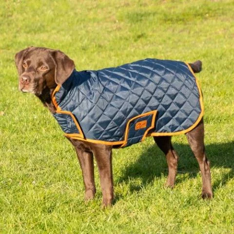 Benji Flo Quilted Dog Coat Dog Rugs and Coats Discount Equestrian