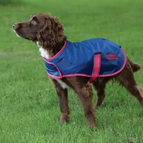 Weatherbeeta windbreaker 420d dog coat 2025