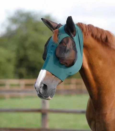Premier equine fly boots online