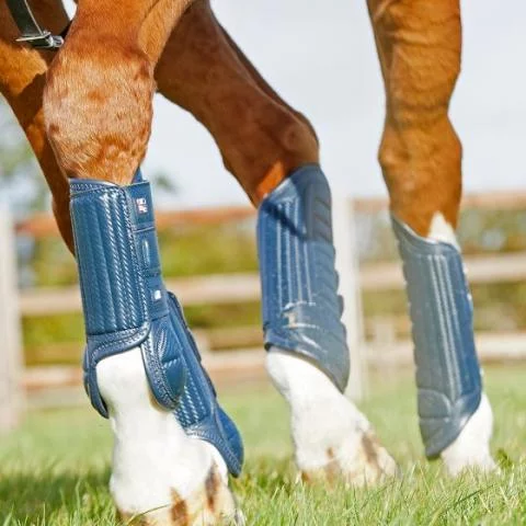 Cheap horse boots online