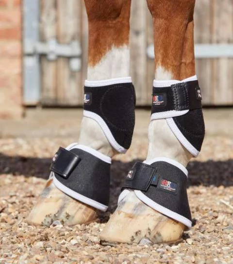 Premier Equine Magni Teque Magnetic Fetlock Boots Premier Equine Therapy