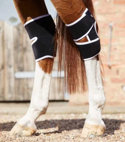 Premier Equine Magni Teque Magnetic Hock Boots Premier Equine Therapy