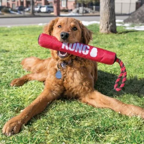 KONG Signature Stick with Rope for Dogs Fetch Retrieve Dog Toys Discount Equestrian