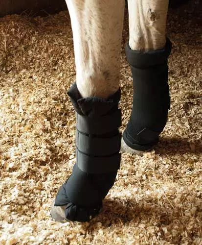 Rhinegold sales travel boots