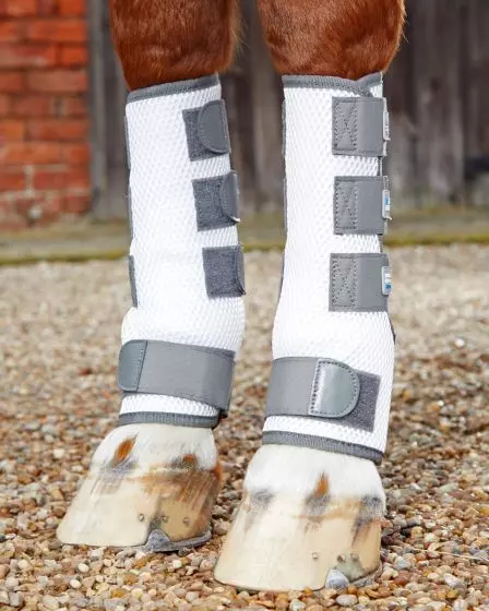 Equine fly boots clearance