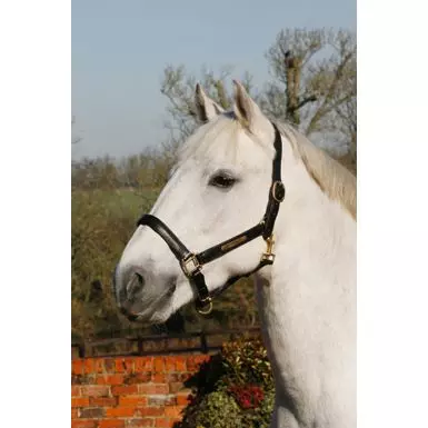 Headcollar nameplate deals