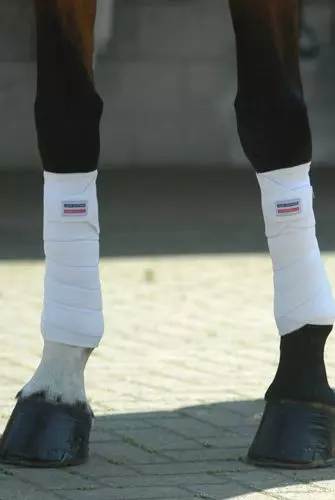John whitaker 2024 riding boots