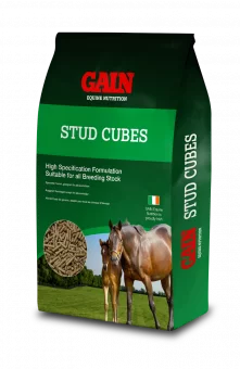 Gain Stud Cubes 25kg -  Gain