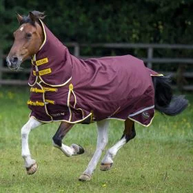 Gallop Trojan Xtra 200 Combo Turnout Rug