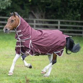 Gallop Trojan Xtra 100 Combo Turnout Rug - Gallop Equestrian