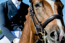 PS of Sweden Paragon Double Bridle Brown