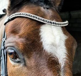 EcoRider Freedom Juliette Browband - Black - EcoRider