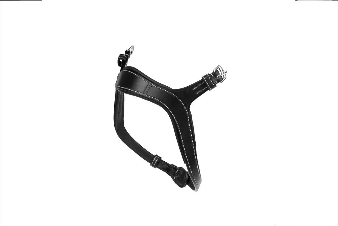 PS of Sweden Nirak Noseband Black