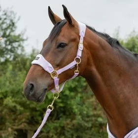 Supreme Products Dotty Fleece Head Collar and Lead Rope - Pink - Supreme Products