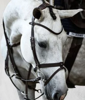 PS of Sweden London Flash Bridle