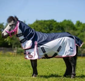 GAllop Ponie Turnout Fly Rug Combo