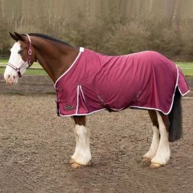 Gallop Summer Sheet - Burgundy