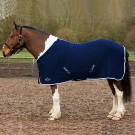 Gallop Jersey Cooler Rug - Black -  Gallop Equestrian