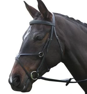 Kincade Grackle Bridle II