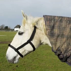 Rhinegold (Metal Free) Field Safe Headcollar -  Rhinegold