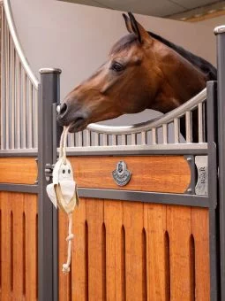 Horse boredom toys store