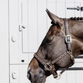 Kentucky Pearls Halter - Gold