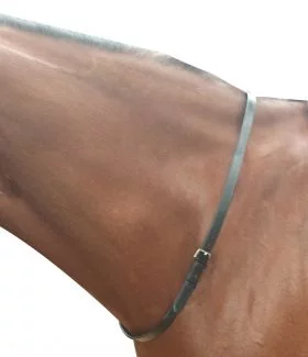 Kincade Neck Strap