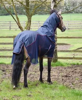 Rhinegold Mombasa Waterproof Topline Fly Rug With Neck Cover Navy -  Rhinegold