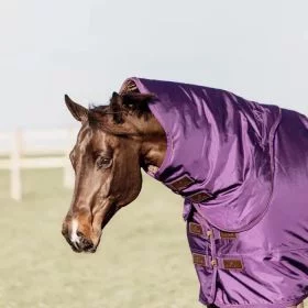 Kentucky Horsewear Turnout Rug Pro Neck Cover 150g - Purple - Kentucky Horsewear