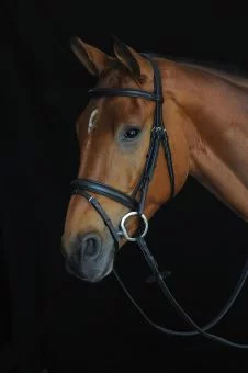 Collegiate Comfort Crown Padded Raised Flash Bridle Black - Collegiate