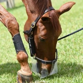 Thinline Flexible Filly Grazing Muzzle - SMALL HOLE - ThinLine