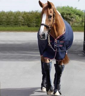 Premier Equine Airtechnology Knee Pro-Tech Horse Travel Boots - Navy