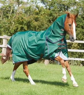 Premier Equine Akoni 0g Turnout Rug with Classic Neck Cover - Wine -  Premier Equine